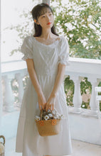 Load image into Gallery viewer, Sharen's Picnic Dress