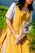 Load image into Gallery viewer, Cotton Apron Dress