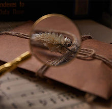 Load image into Gallery viewer, Mini Magnifying Glass