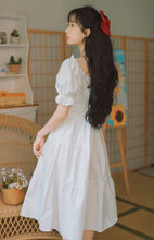 Load image into Gallery viewer, Sharen&#39;s Picnic Dress
